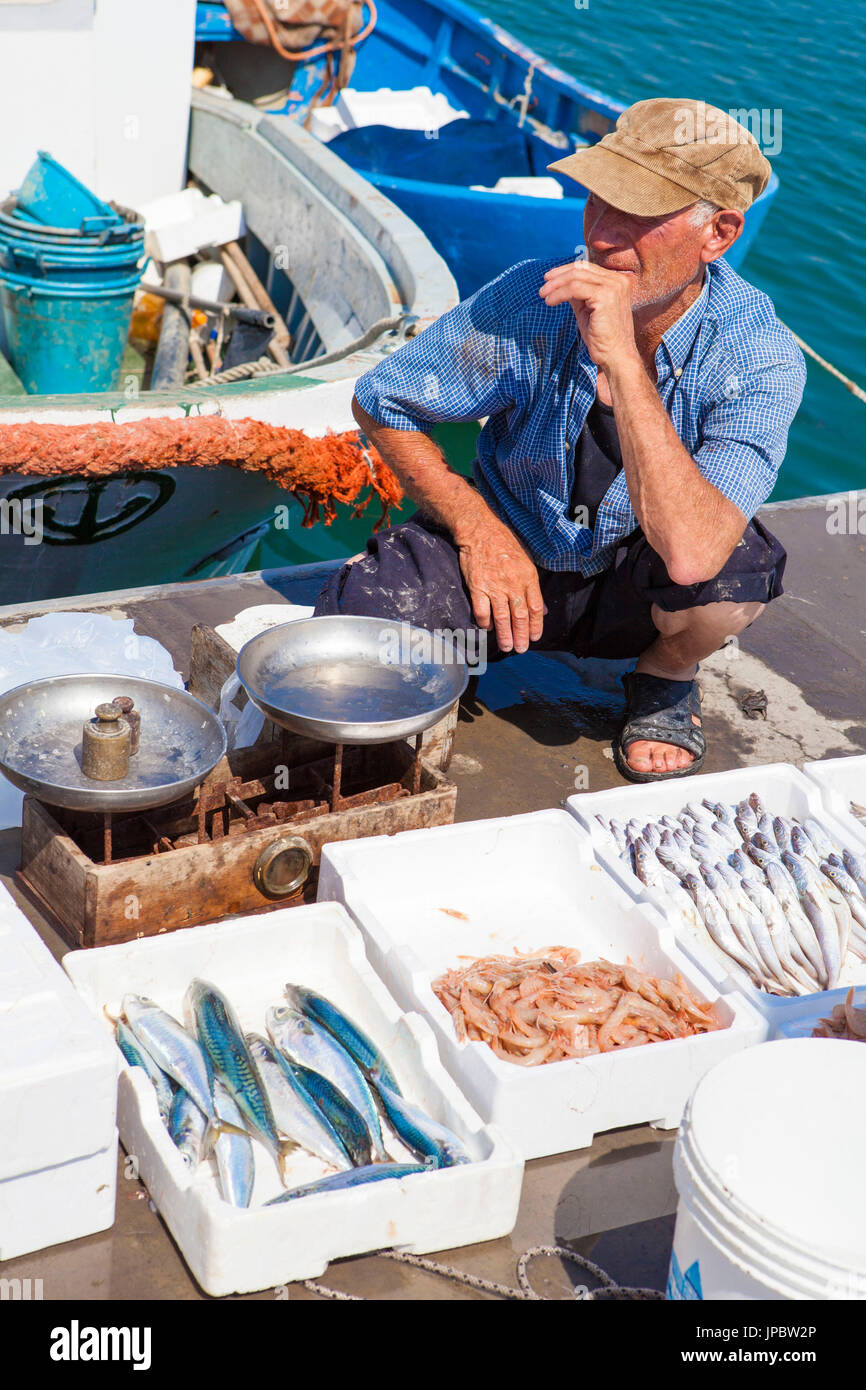 Fischer vertreibt Frischfisch in den Hafen von Licata Provinz von Agrigento Sizilien Italien Europa Stockfoto