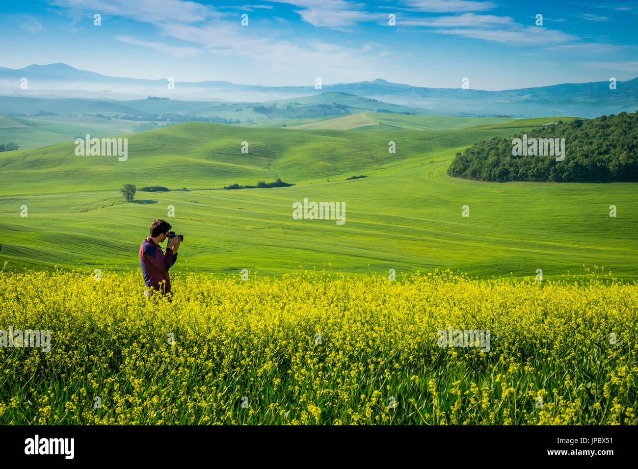 Orcia-Tals, Siena-Viertel, Toskana, Italien, Europa. Mann nimmt Bilder in eine Rapessed weite. Stockfoto