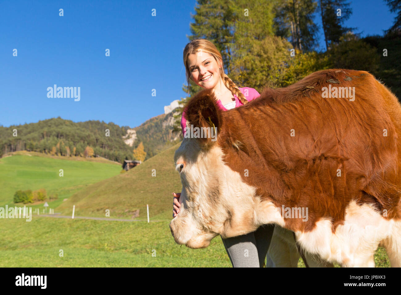 Fröhliches junges Mädchen streichelt eine kleine Kuh. Val di Funes, Trentino Alto Adige, Italien. Stockfoto