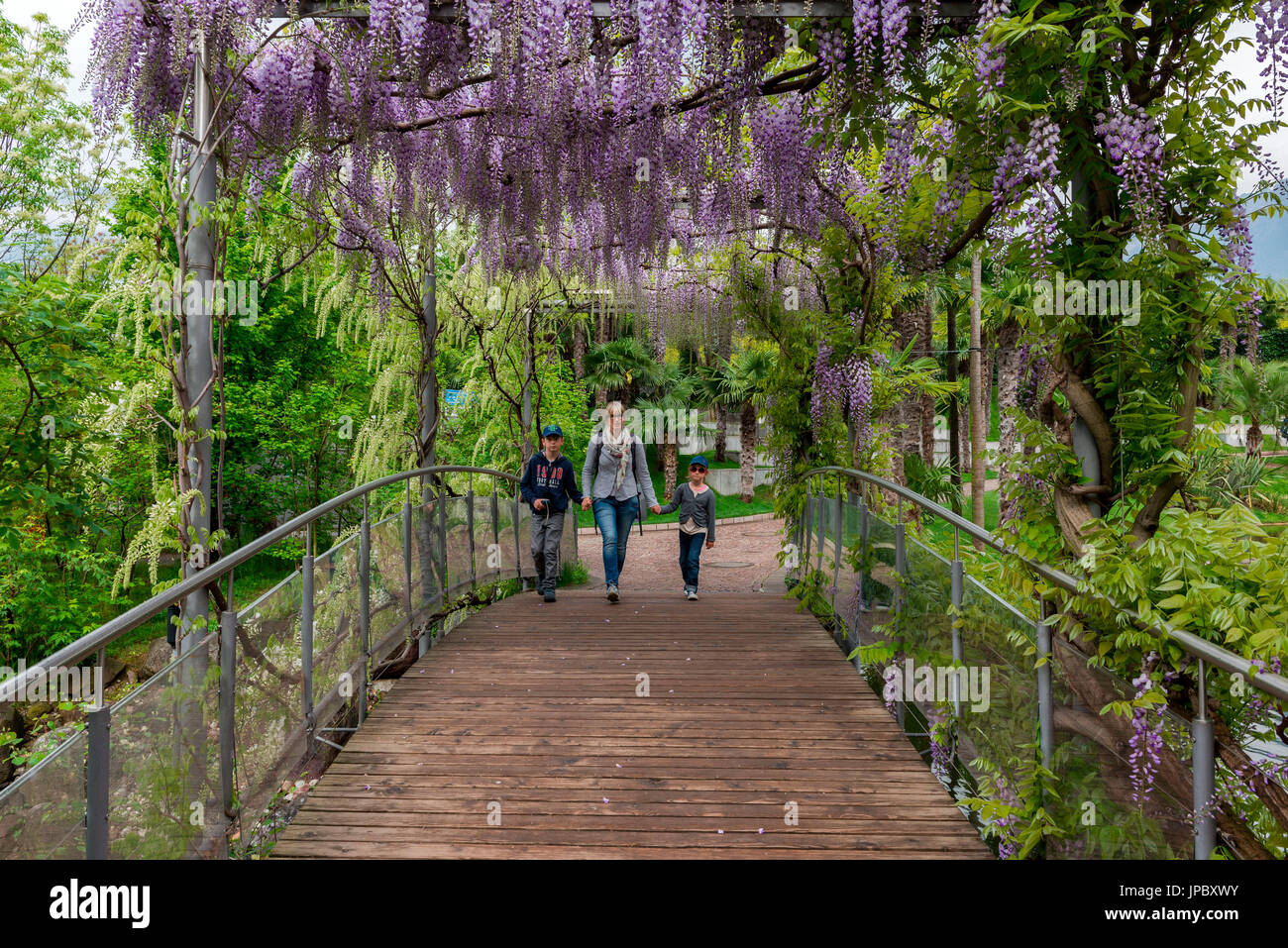 Merano/Meran, South Tyrol, Italien. In den Gärten von Schloss Trauttmansdorff Stockfoto