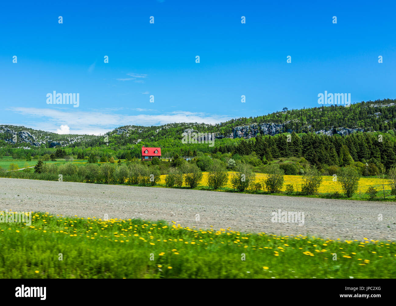 Rot Lackiert Dach Haus Mit Strasse Im Sommer Landschaft