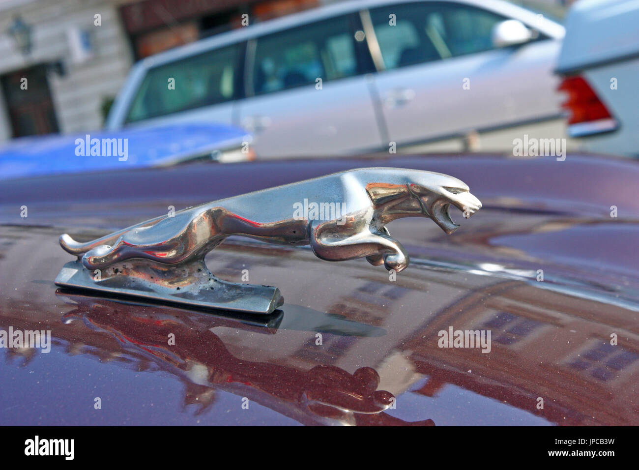 Kroatien SAMOBOR, 17. Juli 2011: Jaguar 3D-Logo auf britischen Oldtimer-Jaguar XJ6 1971, '' 14. Oldtimer Rallye '' in Samobor, Kroatien Stockfoto