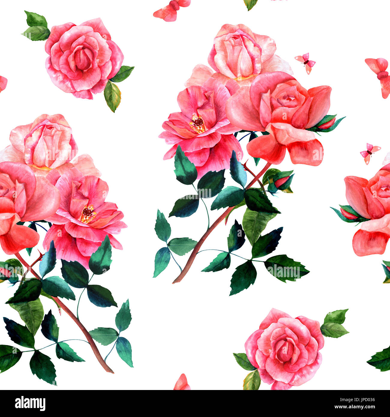Nahtlose Hintergrundmuster mit Aquarell Zeichnungen von rot und rosa Rosen-Blumen und Schmetterlinge auf weiße, Hand gemalt im Stil von Vintage botanica Stockfoto