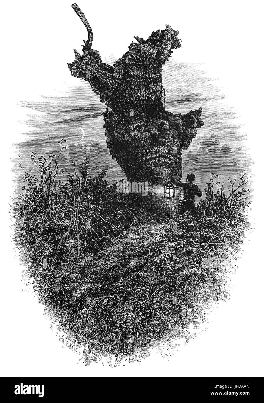 1870: eine Nacht besuchen, der Affe Baum in Burnham Beeches, westlich von Farnham Common in Burnham, Buckinghamshire, England. Für die Öffentlichkeit zugänglich ist es jetzt eine Site of Special Scientific Interest, eine nationale Natur-Reserve und ein Special Area of Conservation. Stockfoto