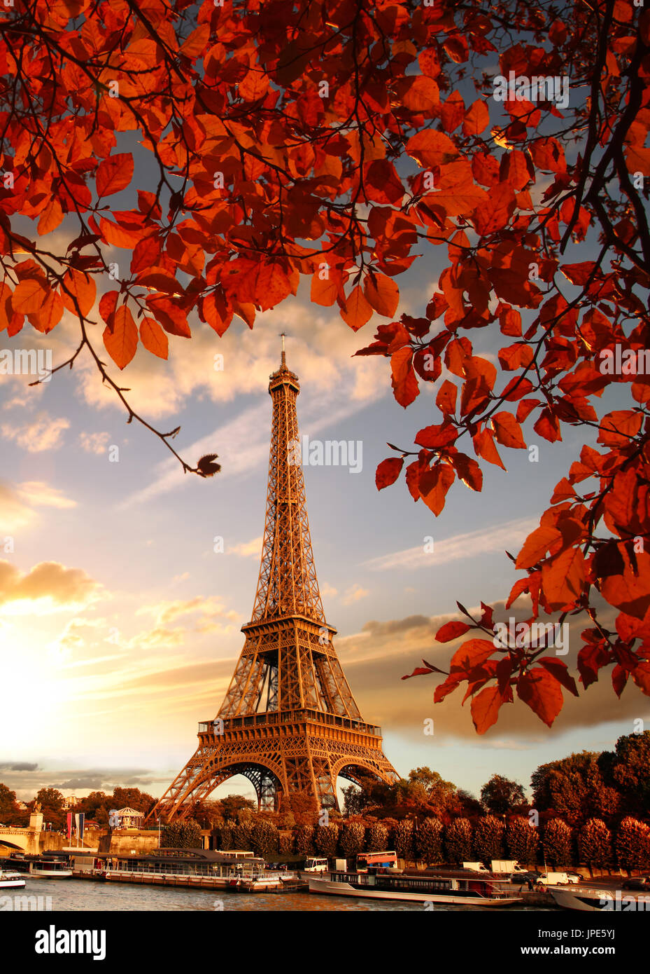 Eiffelturm mit Herbstlaub in Paris, Frankreich Stockfoto