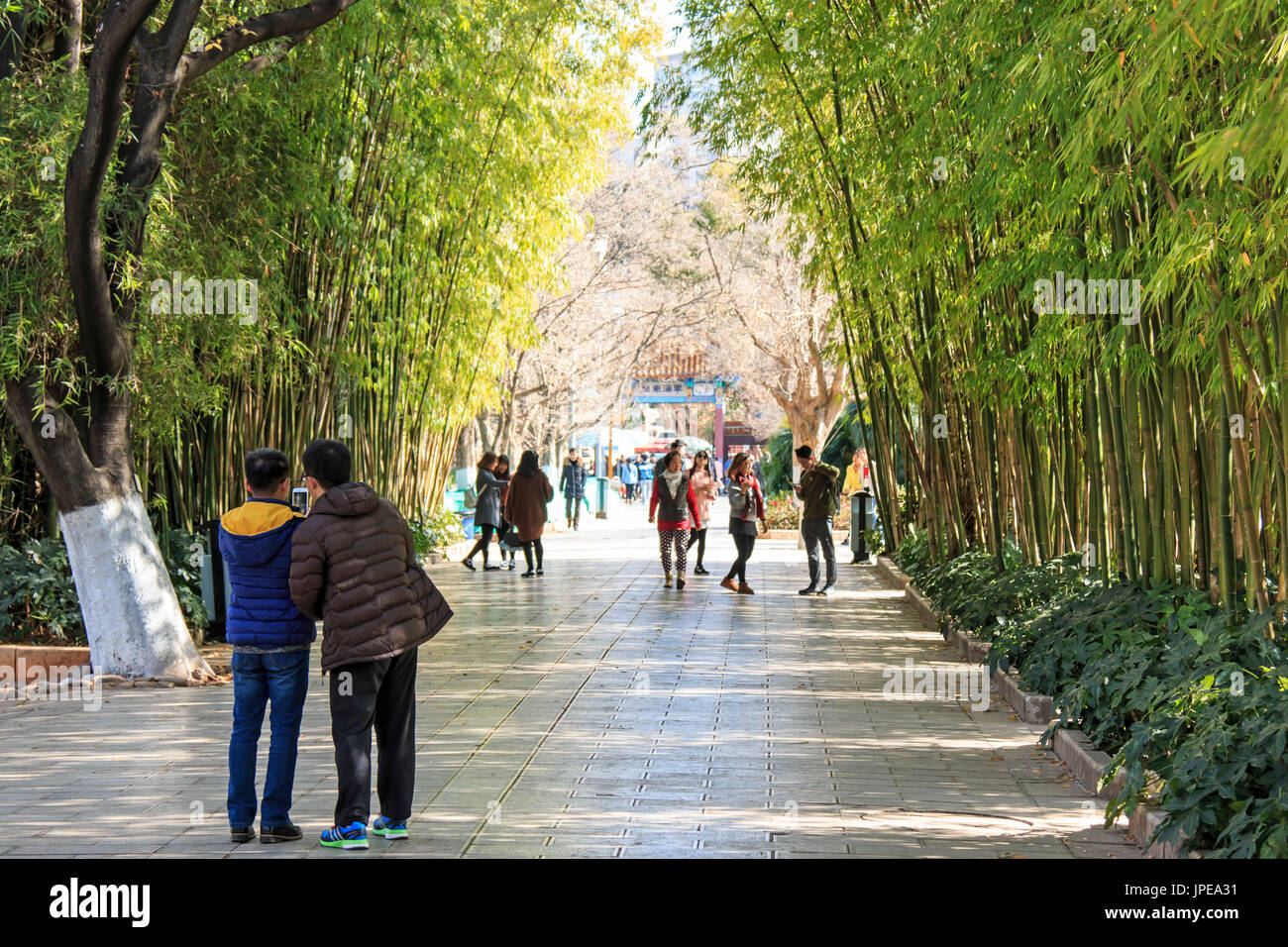 Menschen, die Entspannung im grünen Seepark in Kunming, Yunnan, des beliebtesten Ort für die Freizeit in der Stadt, China Stockfoto