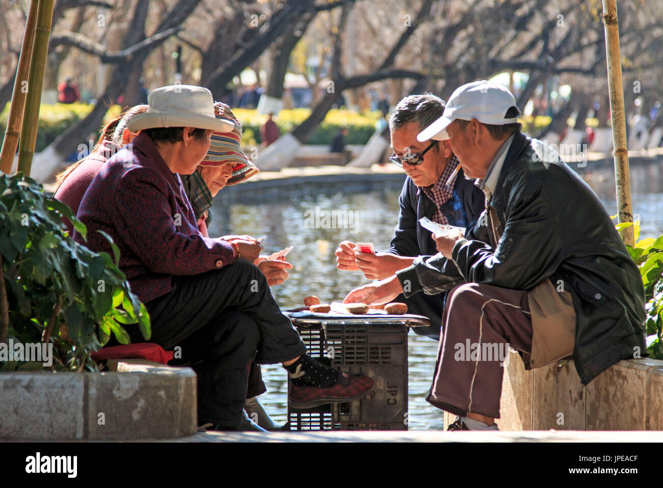 2016: alte Menschen Spielkarte in einem Park von Kunming in China Stockfoto