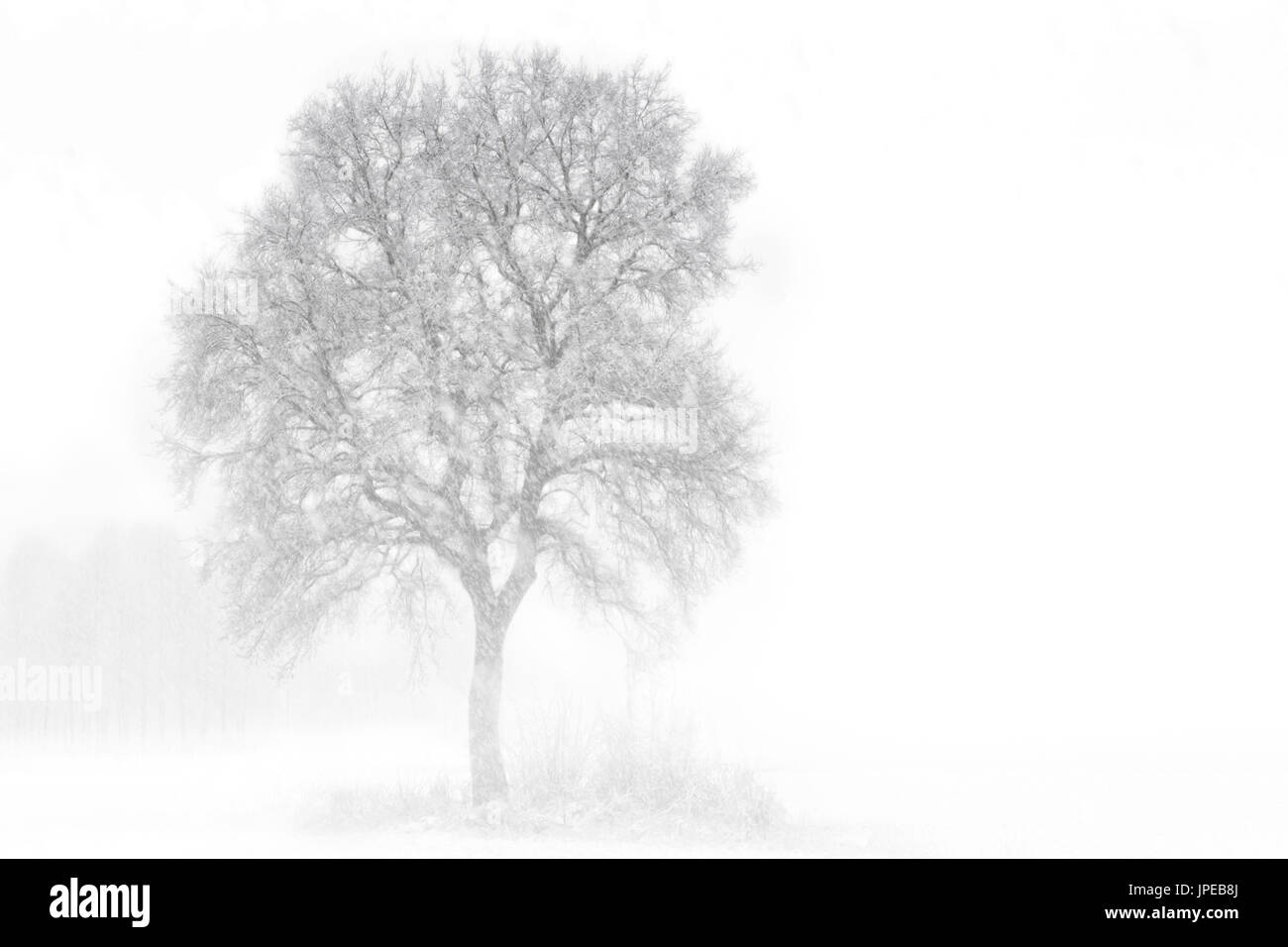 Turin Provinz, Piemont, Italien, Europa. Abstrakte Schnee die Piemont-Ebene Stockfoto