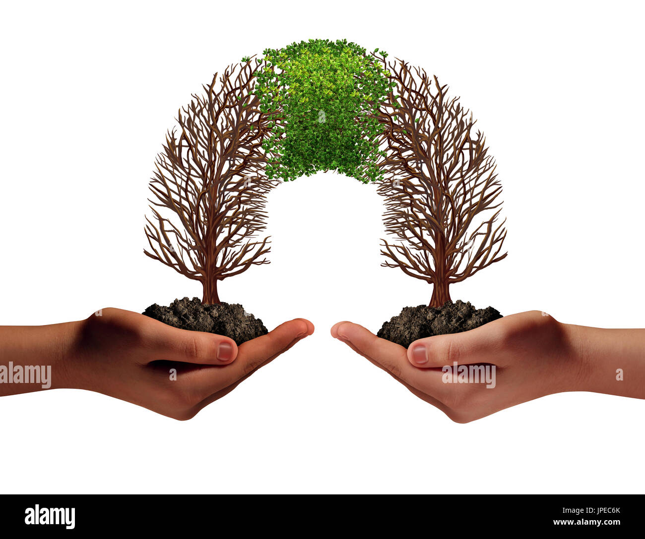 Eine geschäftliche Partnerschaft, wie zwei Menschen, die kämpfen, um Bäume, die miteinander verbinden und neues Wachstum zurück zu kommen, wie eine Zusammenarbeit. Stockfoto