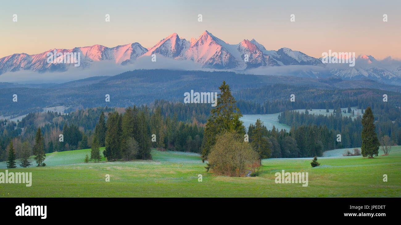 Tatra-Gebirge von Morgensonne beleuchtet. Weihnachtsbäume im Tal, auf schneebedeckten Gipfeln Hintergrund. Stockfoto