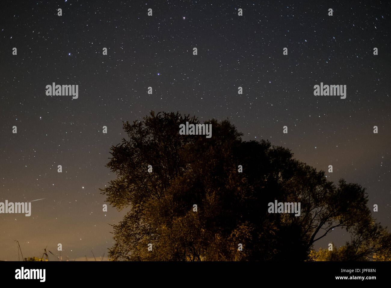 Himmel in der Nacht - Landschaft in der Nacht mit klarem Himmel und vielen stars Stockfoto