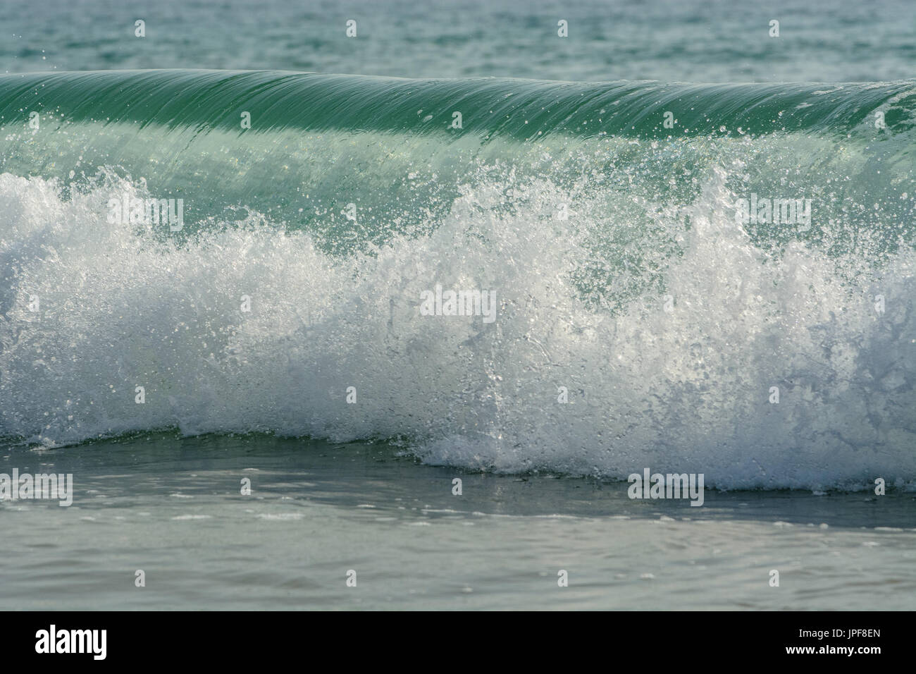 Grüne Wellen Stockfoto