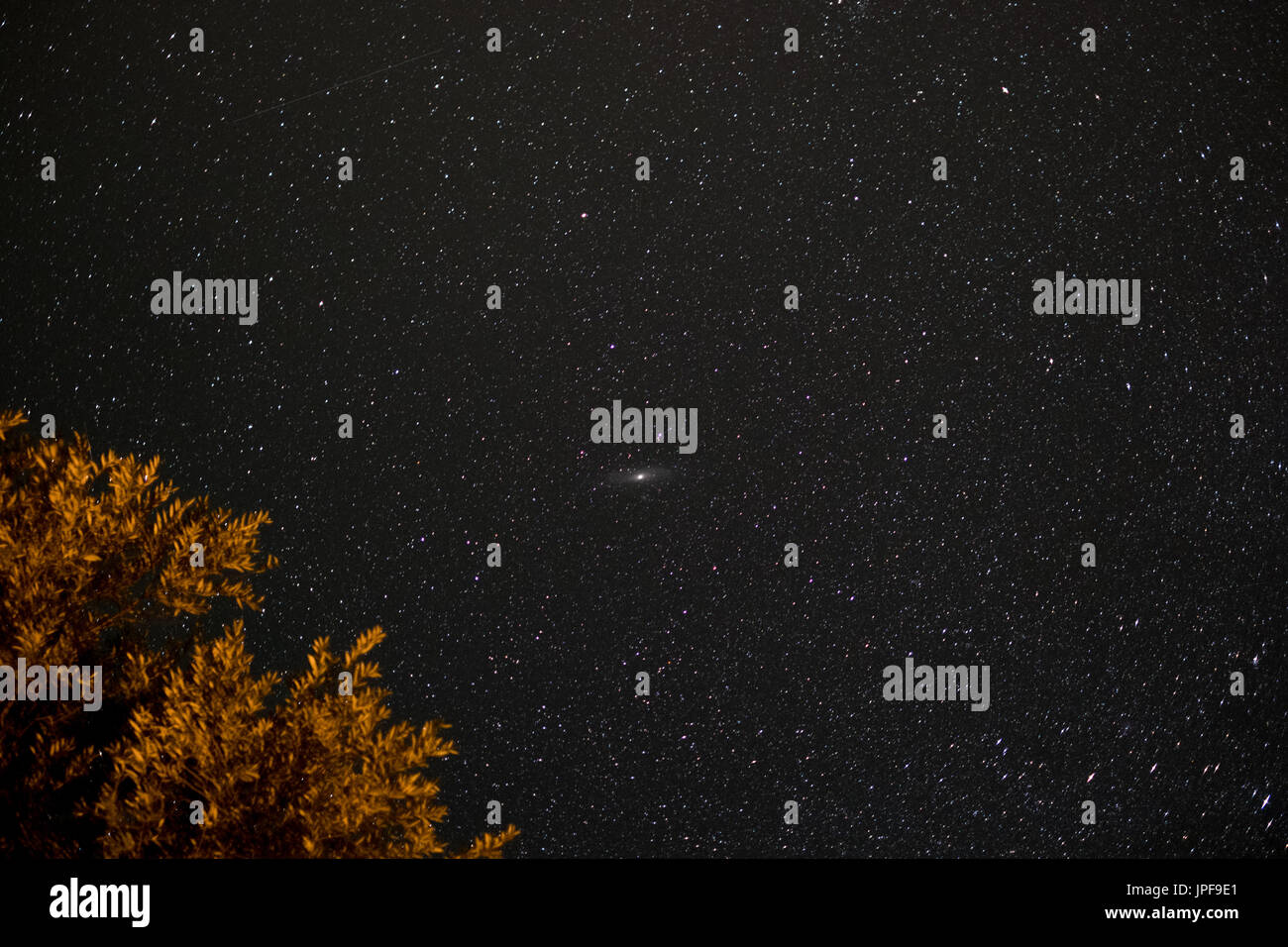 Himmel in der Nacht - Landschaft in der Nacht mit klarem Himmel und vielen stars Stockfoto