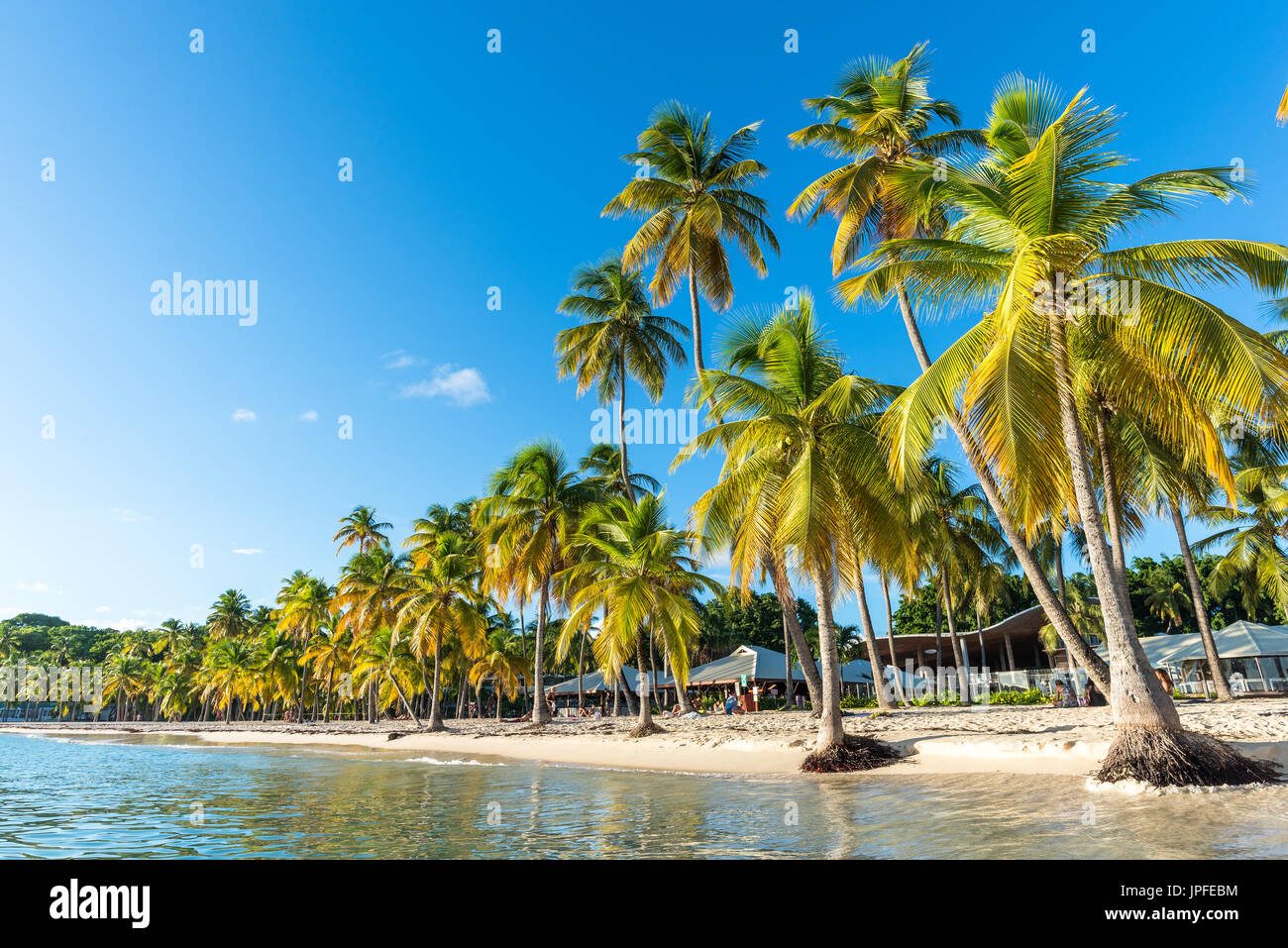 am Strand Plage De La Caravelle in Guadeloupe Stockfoto