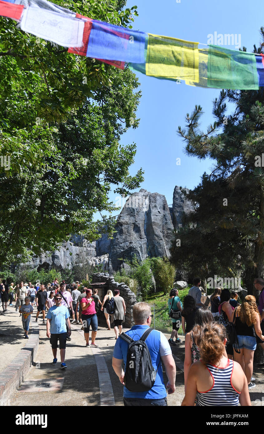 Leipzig, Deutschland. 1. August 2017. Besucher bewundern die neu eröffneten Himalaya Landschaft Gehege im Zoo in Leipzig, Deutschland, 1. August 2017. Die Landschaft mit seinen sandigen Boden und Felsen bietet ein perfektes Umfeld für die vom Aussterben bedrohten roten Panda und Snow Leopard. Foto: Hendrik Schmidt/Dpa-Zentralbild/Dpa/Alamy Live News Stockfoto