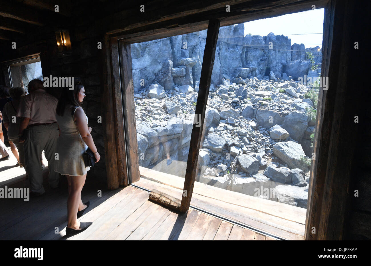 Leipzig, Deutschland. 1. August 2017. Besucher bewundern die neu eröffneten Himalaya Landschaft Gehege im Zoo in Leipzig, Deutschland, 1. August 2017. Die Landschaft mit seinen sandigen Boden und Felsen bietet ein perfektes Umfeld für die vom Aussterben bedrohten roten Panda und Snow Leopard. Foto: Hendrik Schmidt/Dpa-Zentralbild/Dpa/Alamy Live News Stockfoto