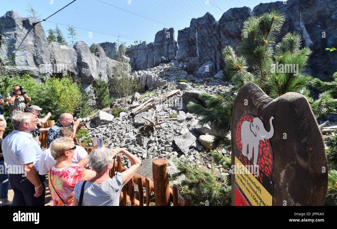 Leipzig, Deutschland. 1. August 2017. Die ersten Besucher bewundern die neu eröffneten Himalaya Landschaft Gehege im Zoo in Leipzig, Deutschland, 1. August 2017. Die Landschaft mit seinen sandigen Boden und Felsen bietet ein perfektes Umfeld für die vom Aussterben bedrohten roten Panda und Snow Leopard. Foto: Hendrik Schmidt/Dpa-Zentralbild/Dpa/Alamy Live News Stockfoto