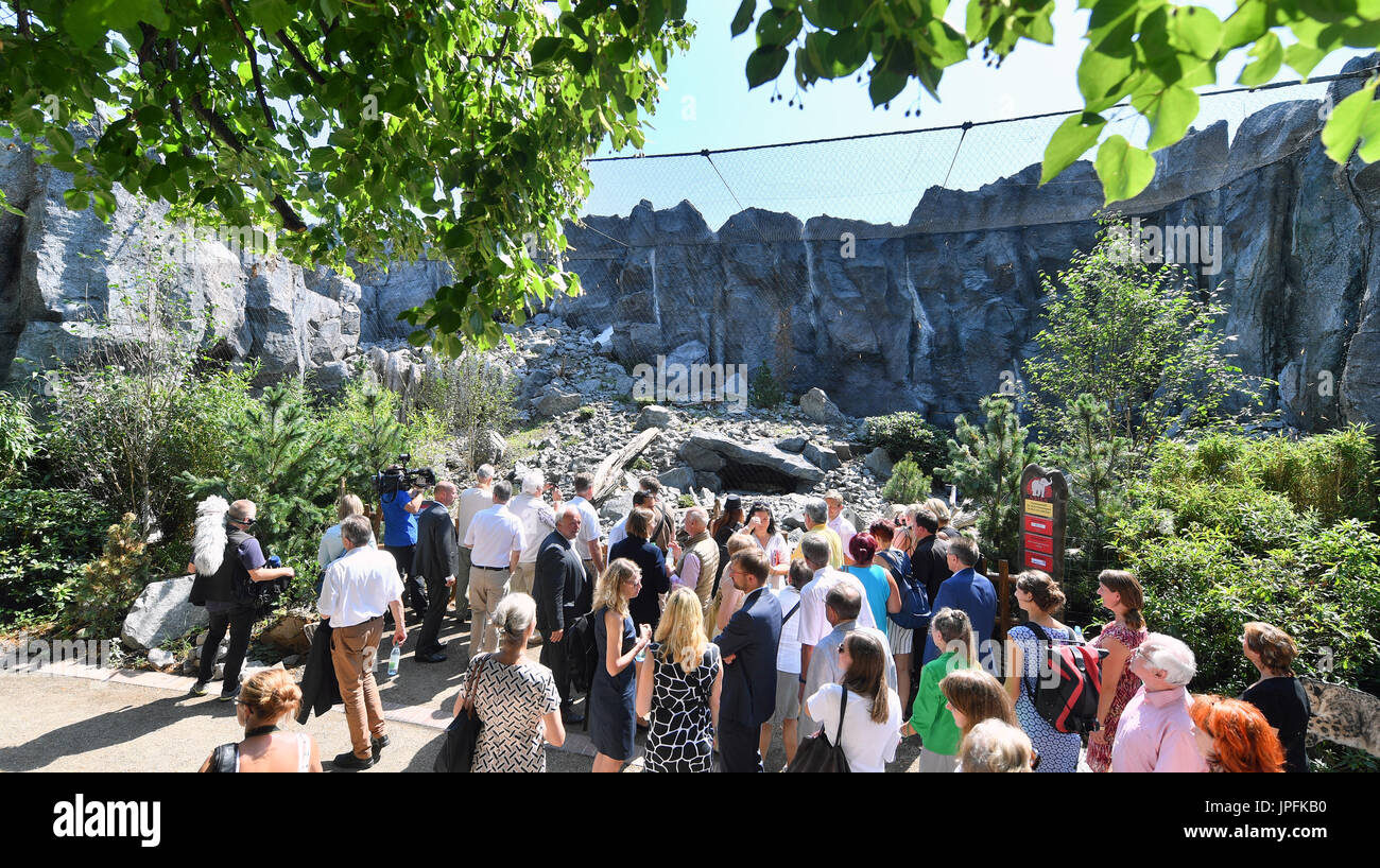 Leipzig, Deutschland. 1. August 2017. Die ersten Besucher bewundern die neu eröffneten Himalaya Landschaft Gehege im Zoo in Leipzig, Deutschland, 1. August 2017. Die Landschaft mit seinen sandigen Boden und Felsen bietet ein perfektes Umfeld für die vom Aussterben bedrohten roten Panda und Snow Leopard. Foto: Hendrik Schmidt/Dpa-Zentralbild/Dpa/Alamy Live News Stockfoto