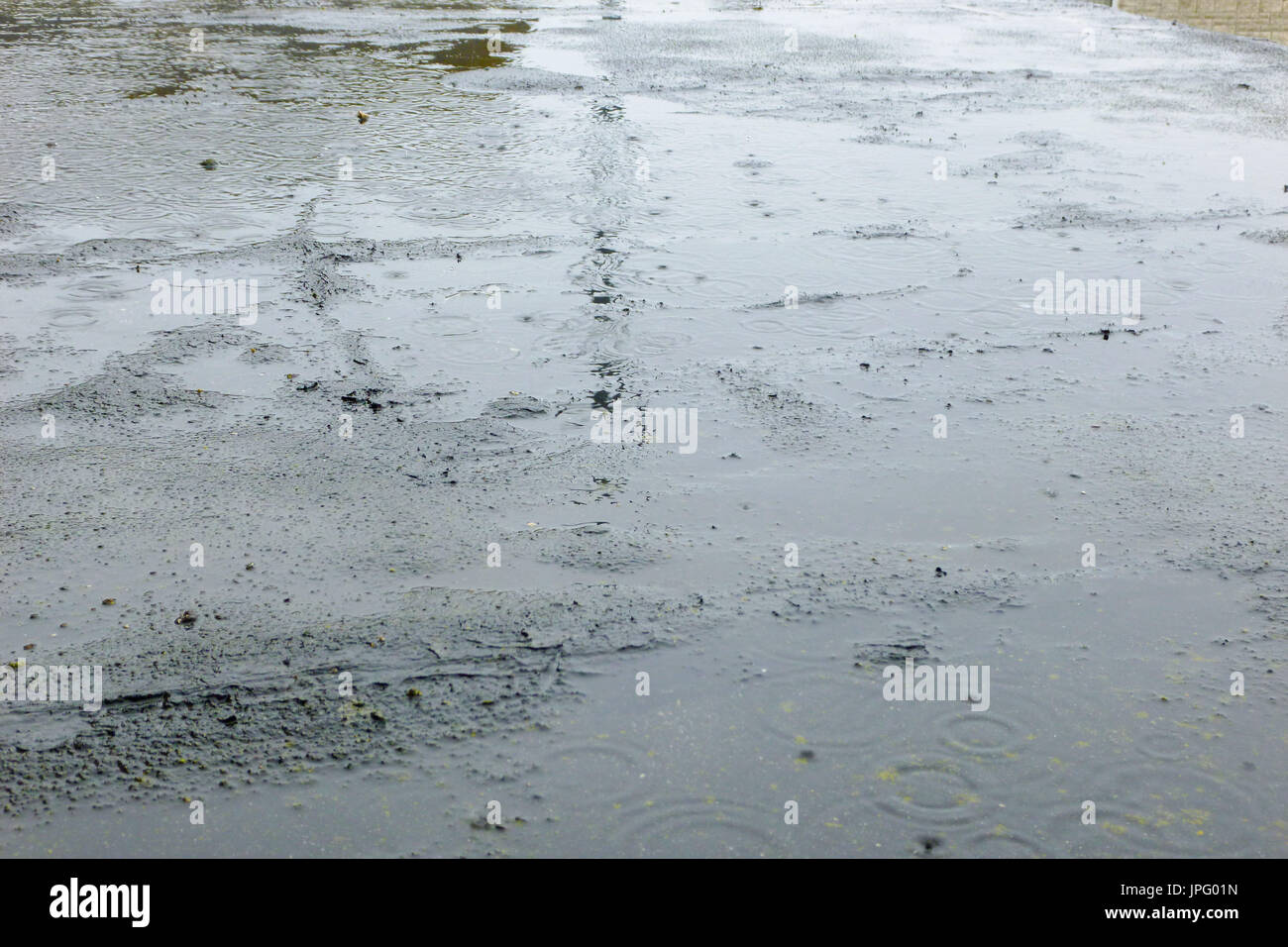 Wren, Isle of Portland, Vereinigtes Königreich. 2. August 2017. Dreharbeiten in Starkregen im südlichsten, heute Morgen eine Show, versuchen, ein Paares ein neues Zuhause am Meer zu finden galt. Schwere Regenfälle in Fahrbahn Pfützen Credit: Stuart Fretwell/Alamy Live-Nachrichten Stockfoto