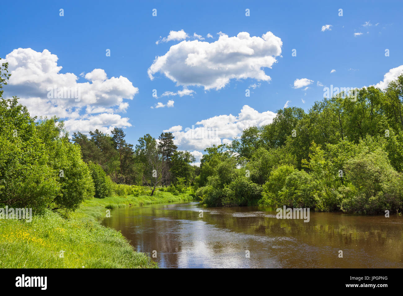 schöne ländliche Sommerlandschaft mit Wald, Fluss, blauem Himmel und weißen Wolken. Frühlingslandschaft mit See, Aussicht. Stockfoto