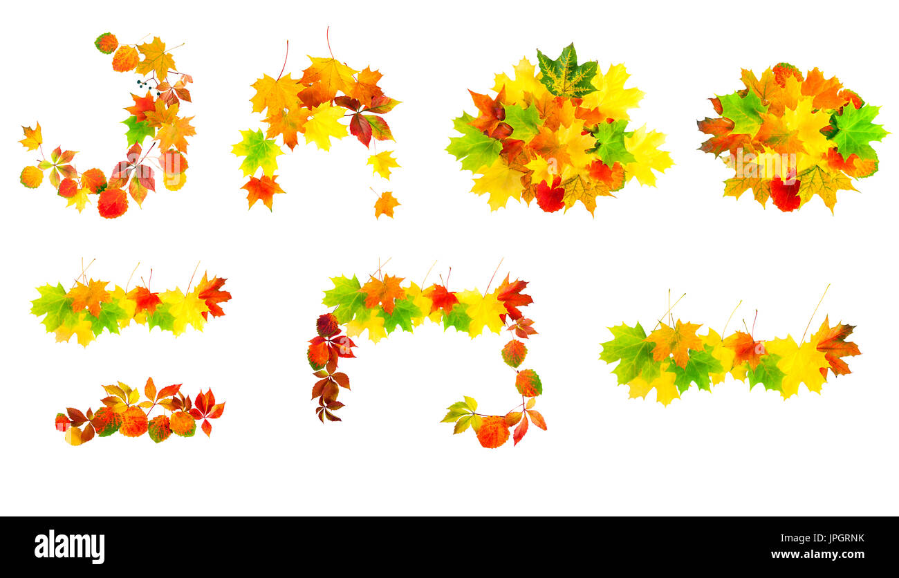 Multi farbige Herbstblätter isoliert auf einem weißen Hintergrund. Kollektion Design-element Stockfoto