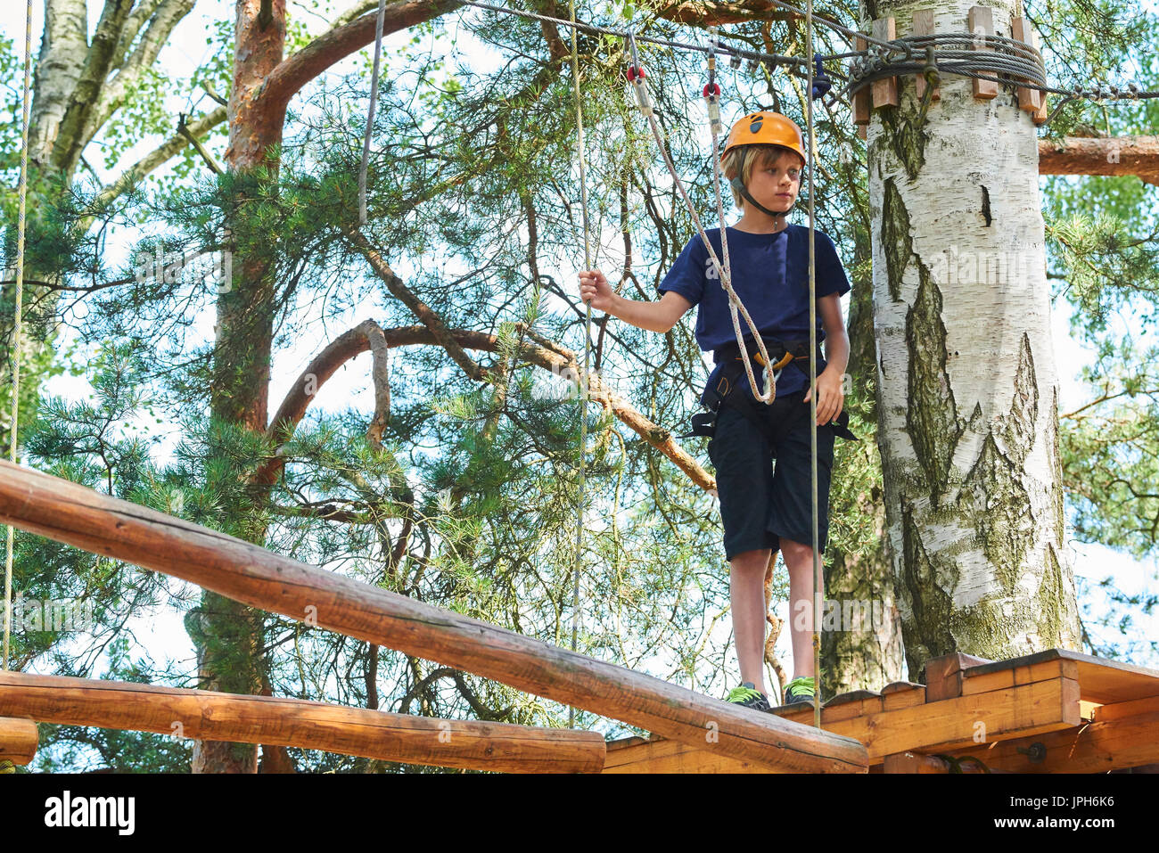 Kind Junge genießt Klettern im Hochseilgarten Abenteuer. Kind engagiert klettern High Wire Park. Aktive tapfere kleine Junge klettern in der Baumkrone ein genießen Stockfoto
