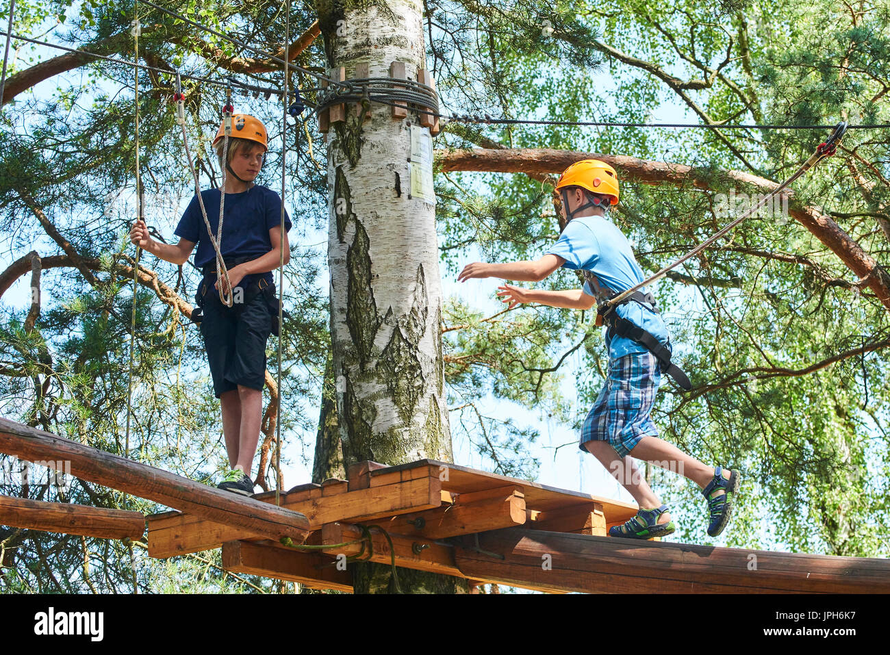 Kind Junge genießt Klettern im Hochseilgarten Abenteuer. Kind engagiert klettern High Wire Park. Aktive tapfere kleine Junge klettern in der Baumkrone ein genießen Stockfoto