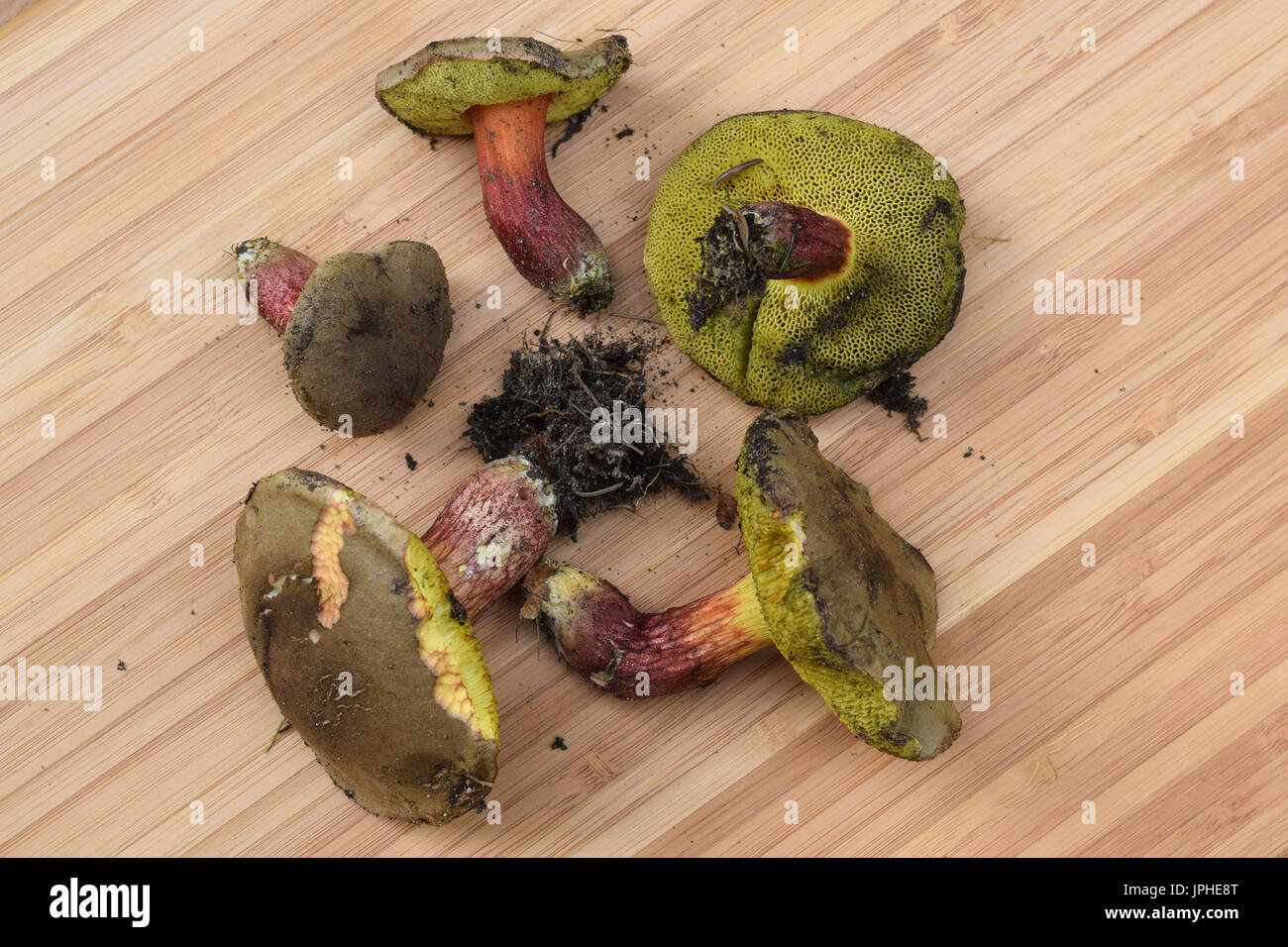 Pilze auf Holzbrett Stockfoto