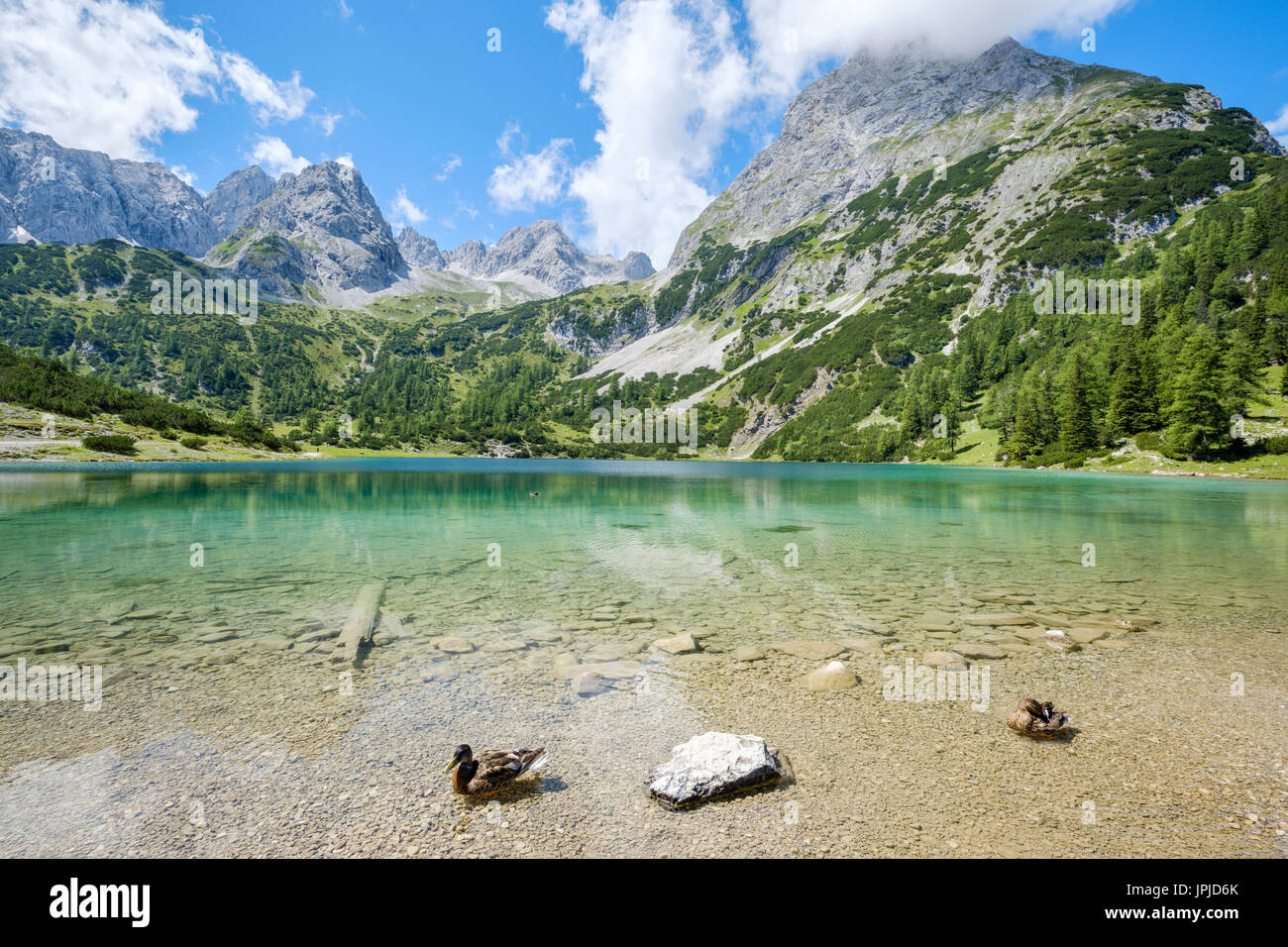 Seebensee vor der Mieminger Gebirge Palette, Ehrwald, Tirol, Österreich Stockfoto