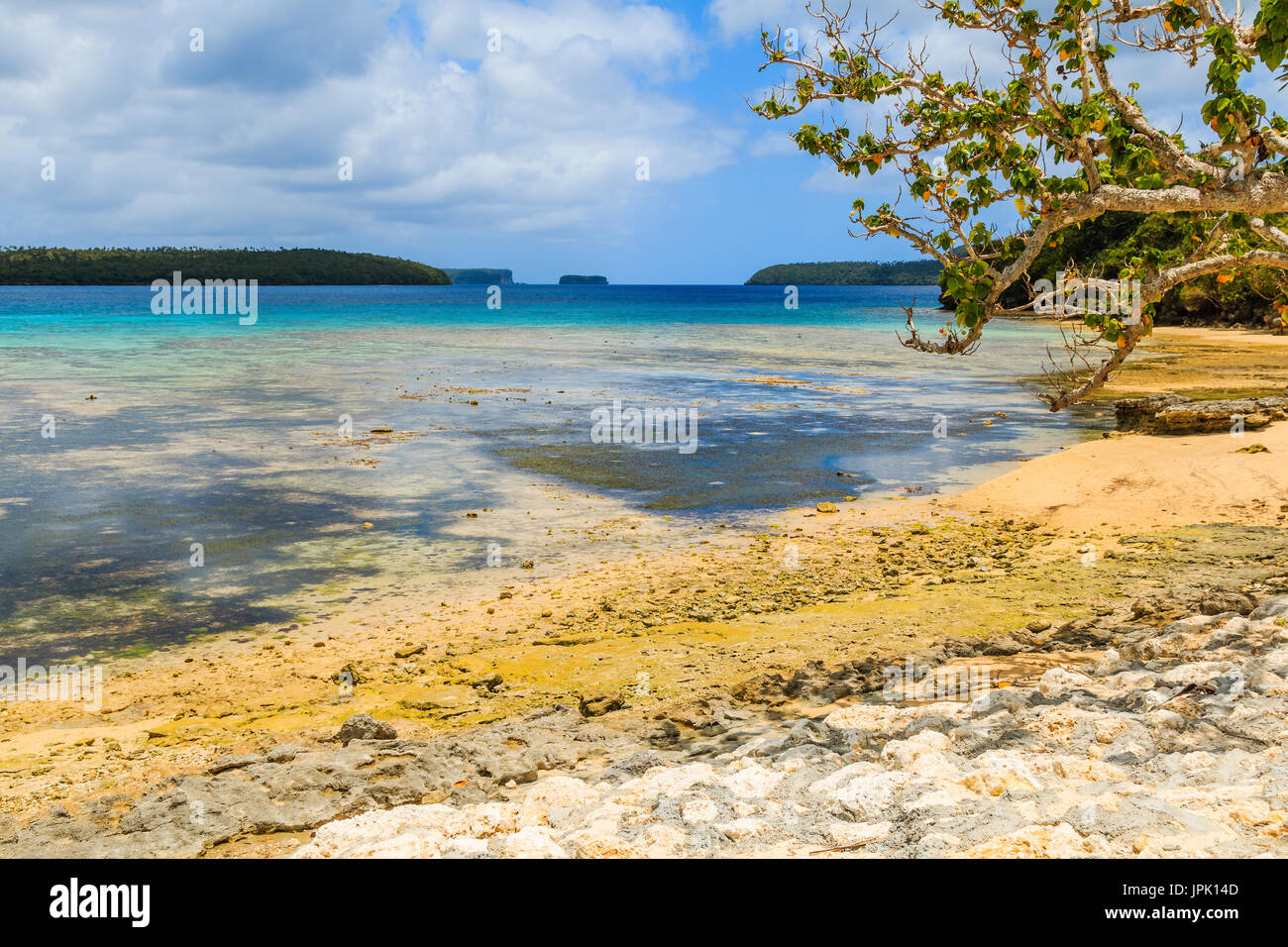 Vava ' u-Archipel, Neiafu, Tonga. Blick auf den tropischen Strand auf der Insel Vava'u. Stockfoto