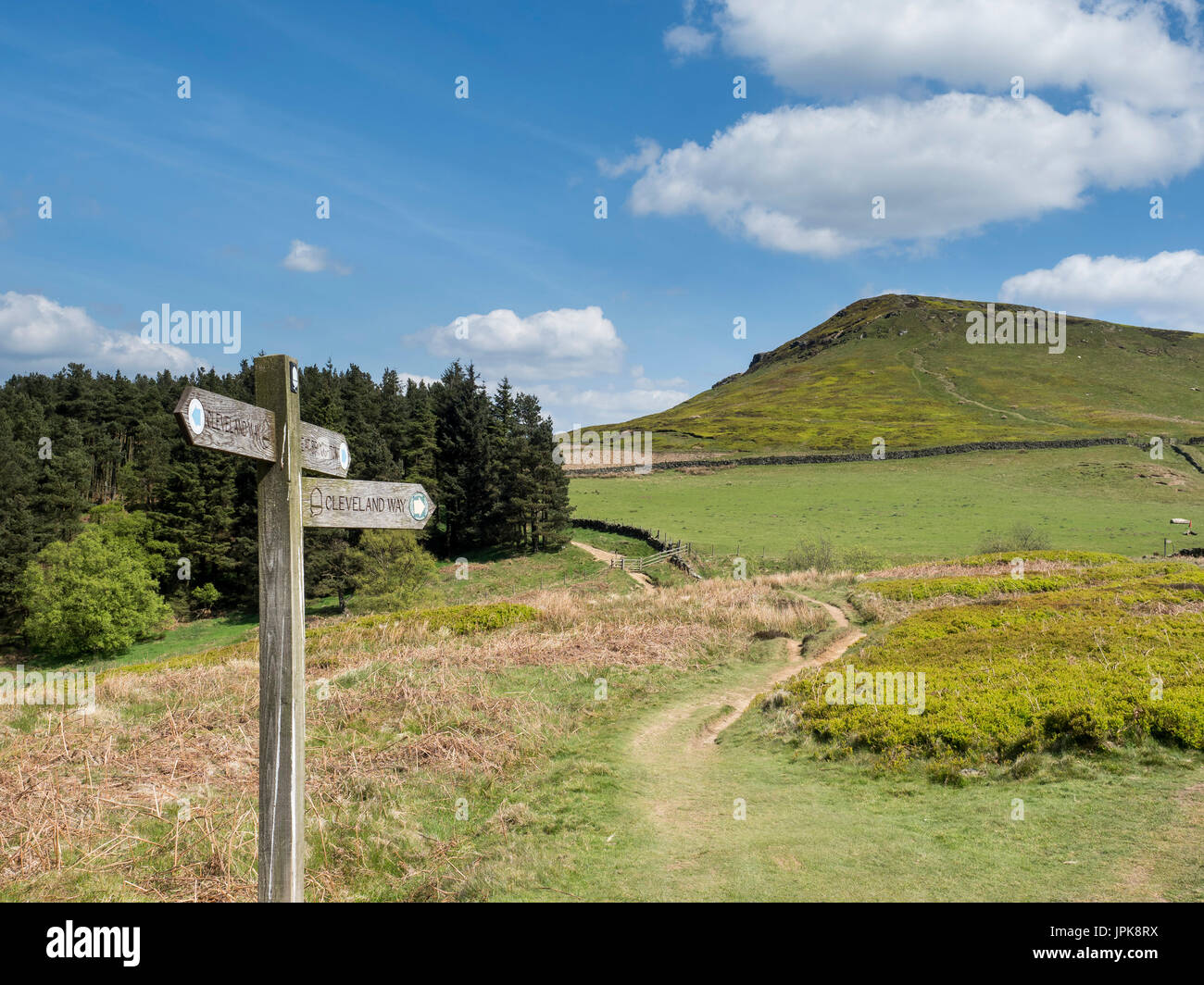 Eine hölzerne Sighpost weist den Weg den Hügel hinauf zu den Cleveland-Weg zu gehen. Stockfoto