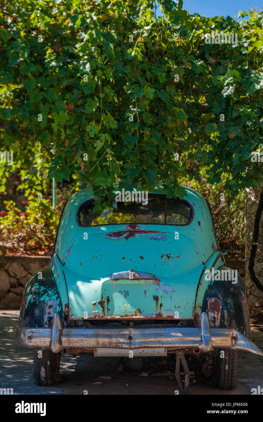 Ein altes Peugeot Auto unter einem Baldachin von Reben in einem Land am Mittelmeer Stockfoto
