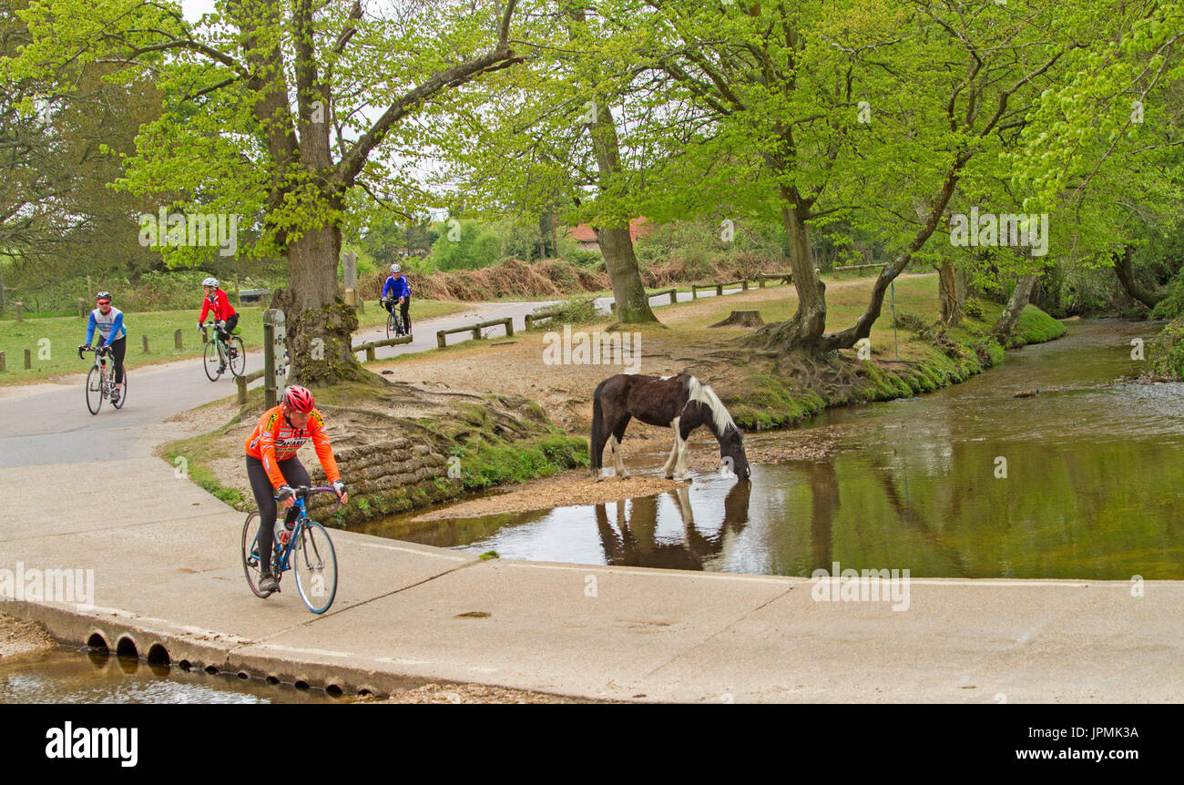 Radfahrer reiten auf dem englischen Land straße durch Wälder und vorbei an Pferd trinken in Fluss im New Forest Stockfoto
