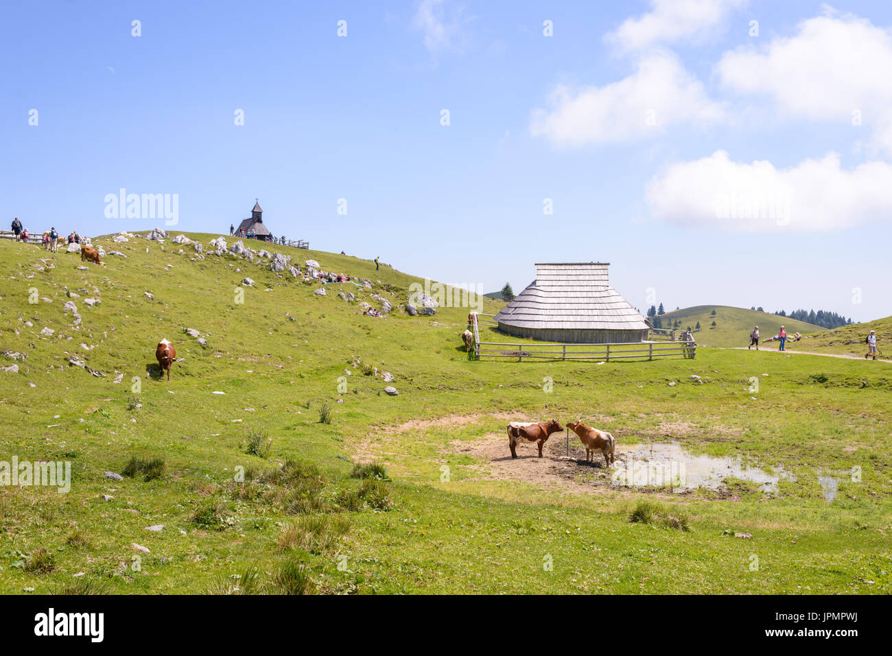 Velika Planina Plateau, Slowenien, Bergdorf in den Alpen, Holzhäuser im traditionellen Stil, beliebtes Reiseziel Wandern Stockfoto