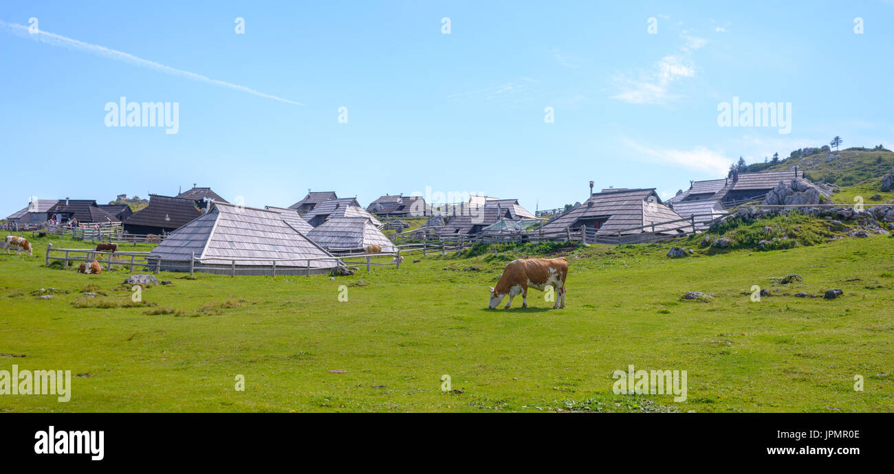 Velika Planina Plateau, Slowenien, Bergdorf in den Alpen, Holzhäuser im traditionellen Stil, beliebtes Reiseziel Wandern Stockfoto