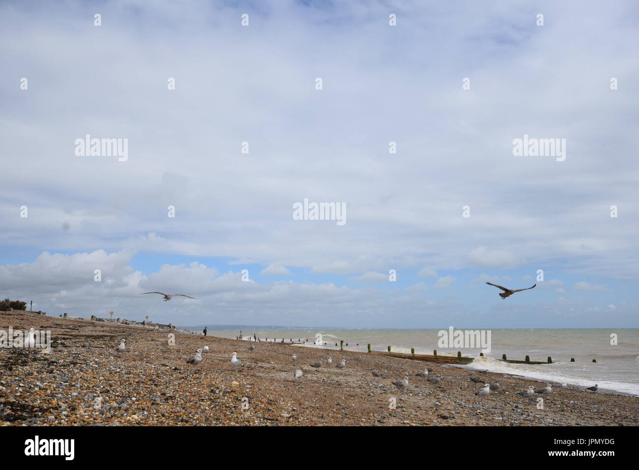 Worthing August 2017 Stockfoto
