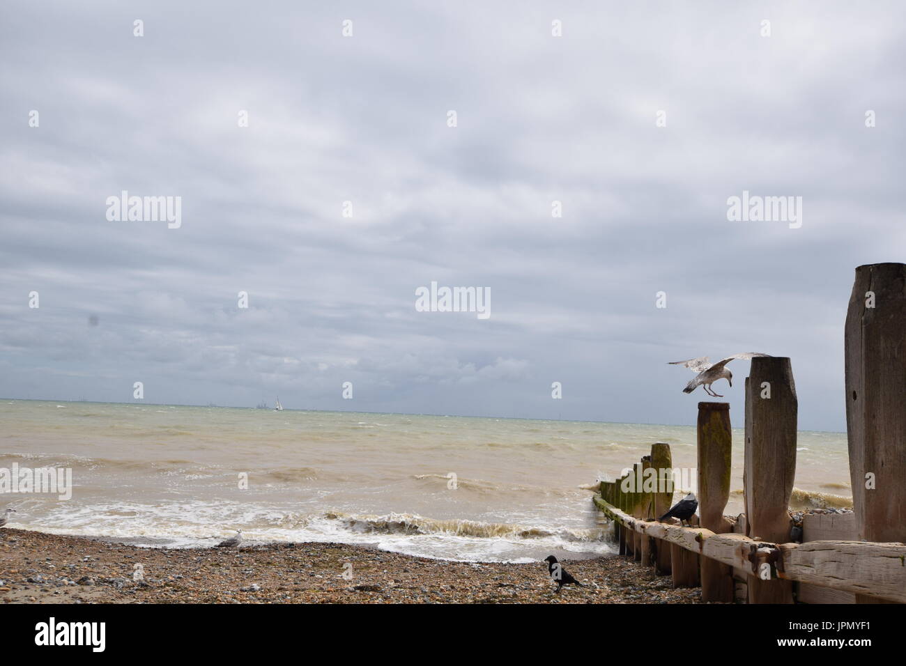 Worthing August 2017 Stockfoto