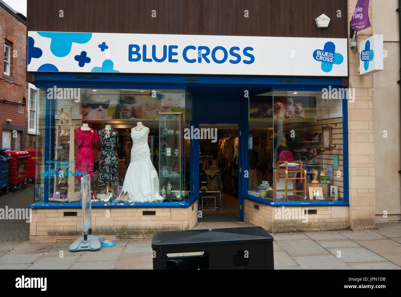 Vordere Fassade vor Eingang eines blauen Kreuz Haustier Charity-Shop Stockfoto