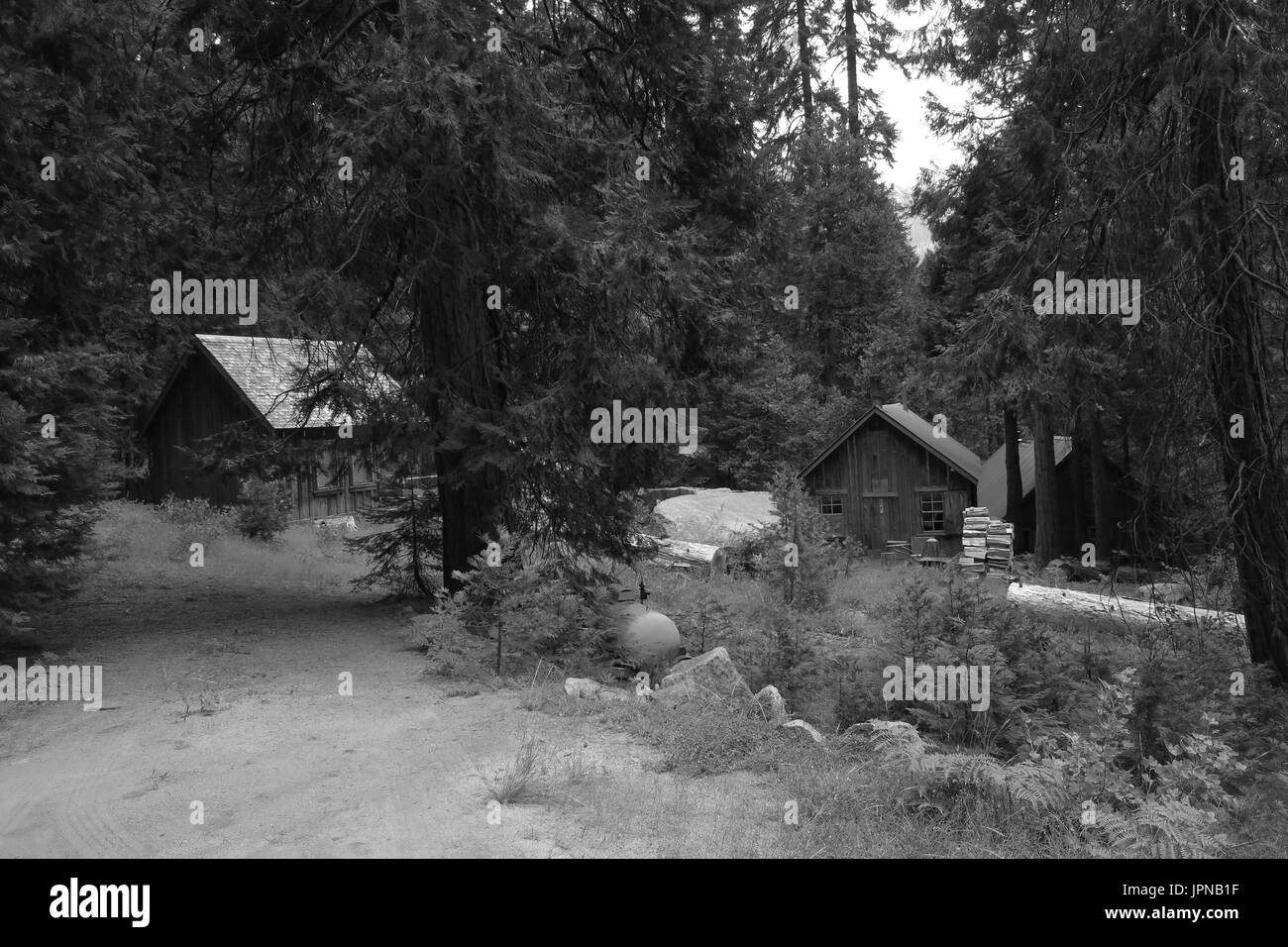 Rustikale Jahrhundert-alten Laufbelag Kabinen in mineralischen König, Sequoia National Park, Tulare County, Kalifornien, USA Stockfoto