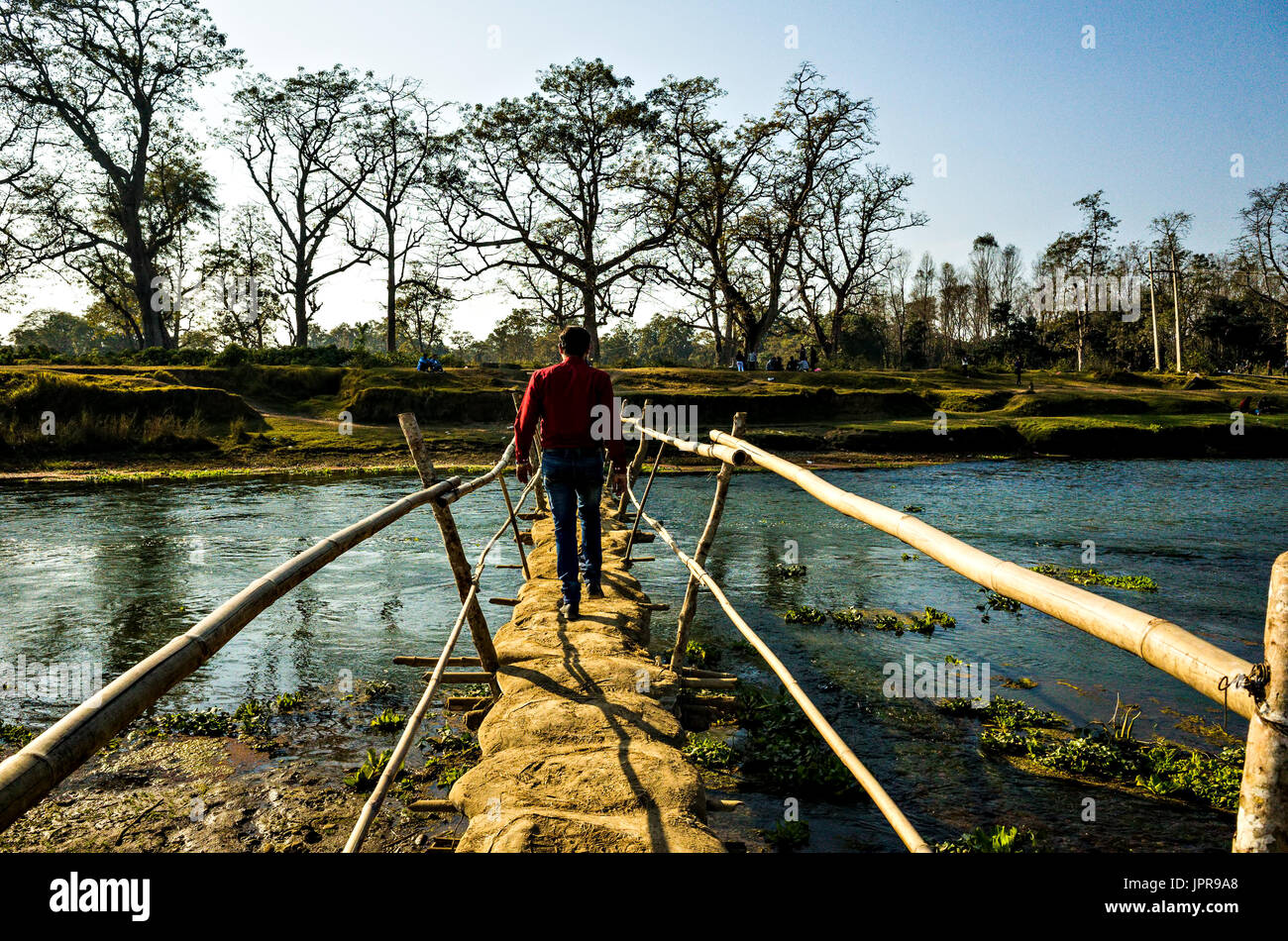 Mann zu Fuß auf eine handgefertigte Bambusbrücke, Sauraha, Chitwan, Nepal Stockfoto