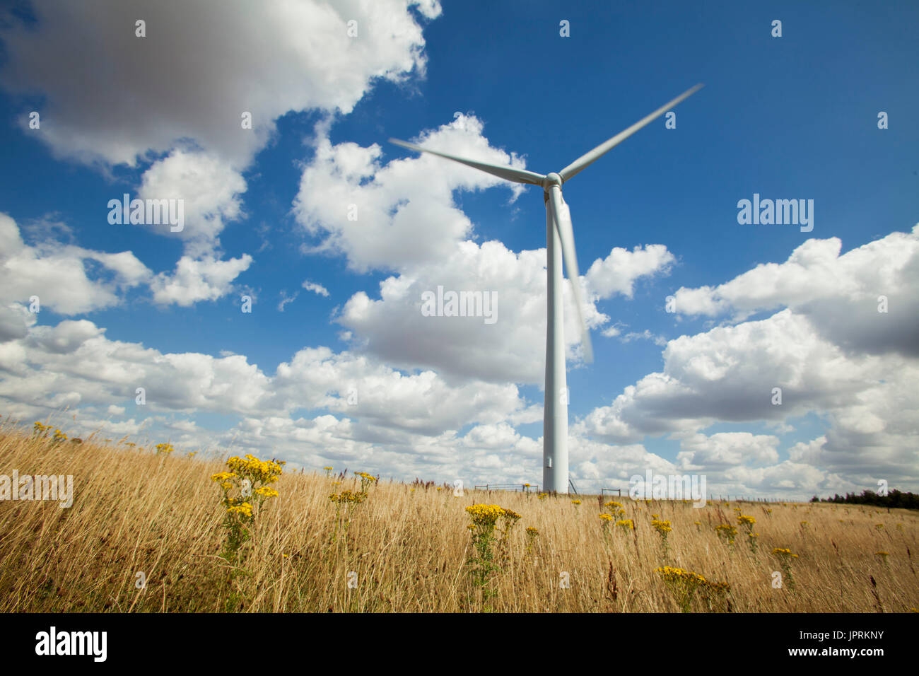 Windkraftanlage für natürliche Ressourcen thront hoch auf einer Wiese in der englischen Landschaft. Erneuerbare Energien in Aktion während der Sommersaison Stockfoto
