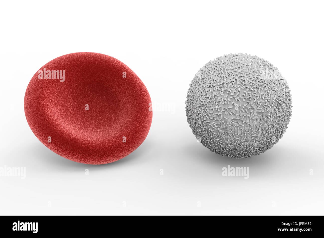 3D Rendering weißen Blutkörperchen mit roten Blutkörperchen auf weißem Hintergrund Stockfoto