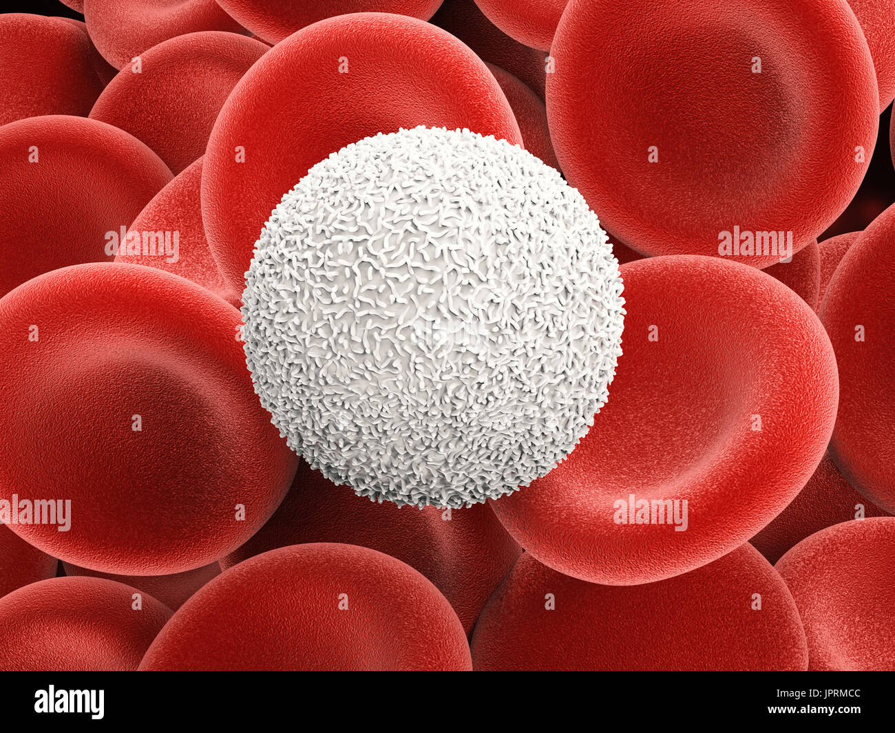 3D Rendering weißen Blutkörperchen mit roten Blutkörperchen Stockfoto
