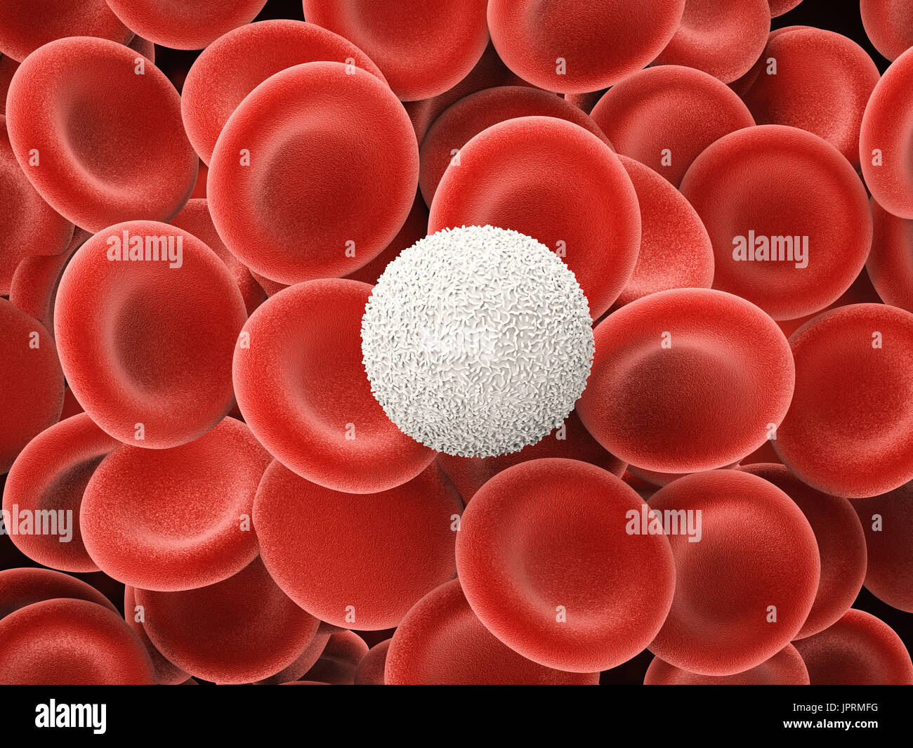 3D Rendering weißen Blutkörperchen mit roten Blutkörperchen Stockfoto