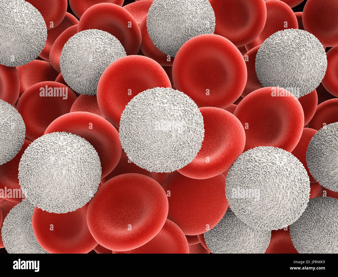 3D Rendering weißen Blutkörperchen mit roten Blutkörperchen Stockfoto