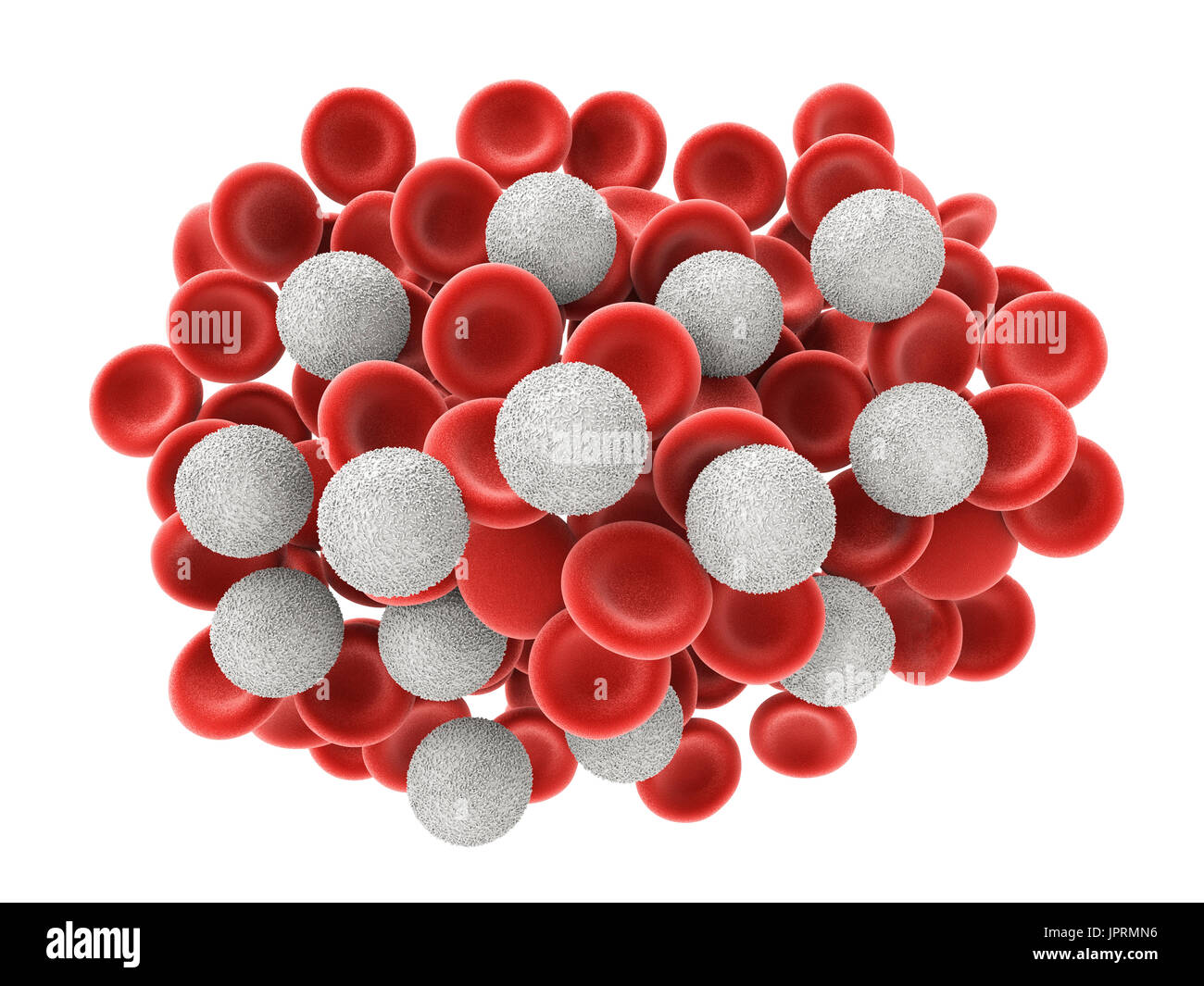 3D Rendering weißen Blutkörperchen mit roten Blutkörperchen auf weißem Hintergrund Stockfoto