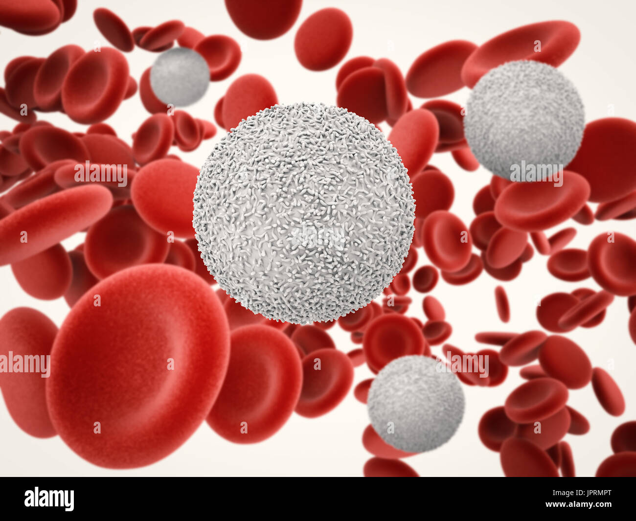 3D Rendering weißen Blutkörperchen mit roten Blutkörperchen Stockfoto