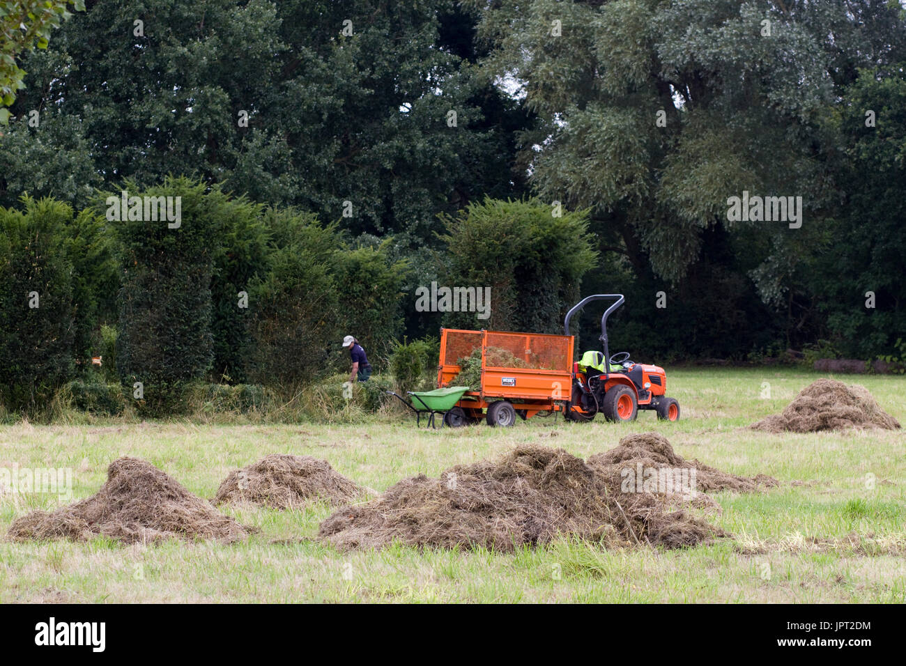 Gärtner, Clearing bewachsenen Garten mit einem Traktor und Anhänger Stockfoto