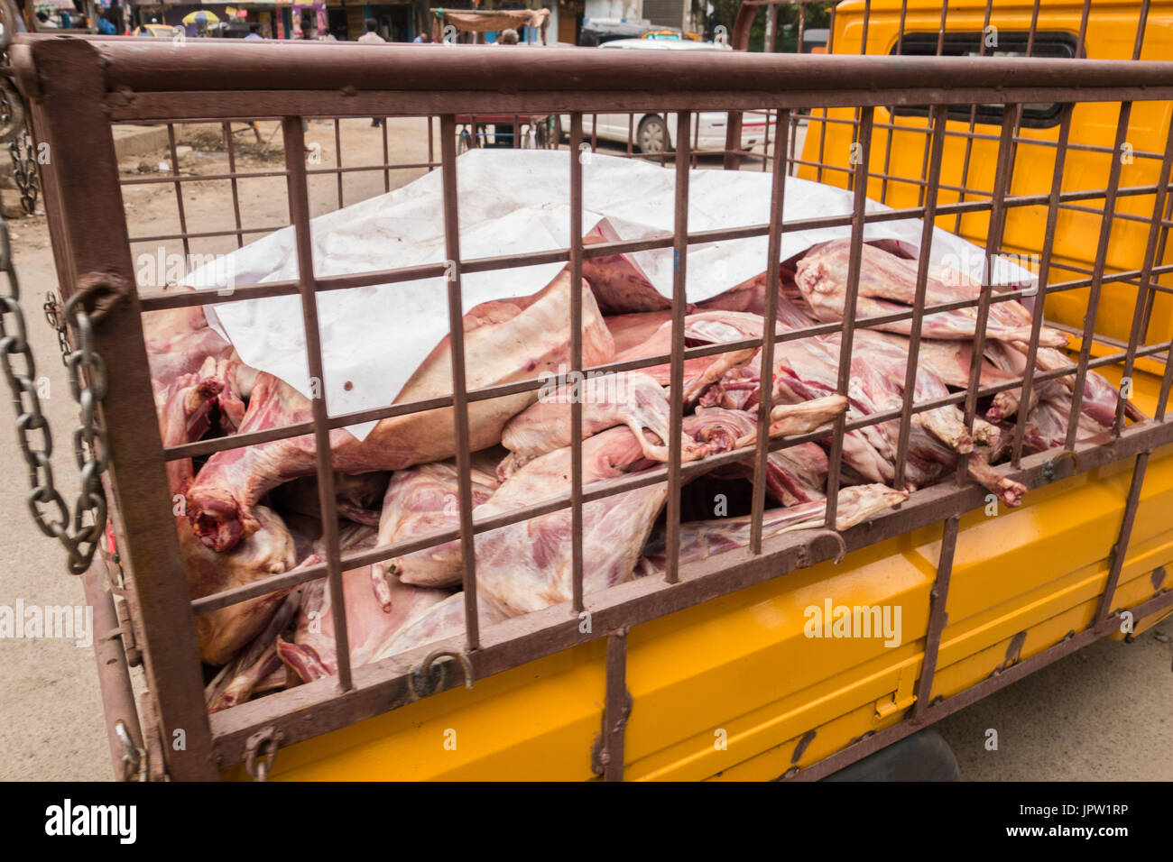 Unsichere Methode von rohem Fleisch Transport in Hyderabad, Indien. Stockfoto