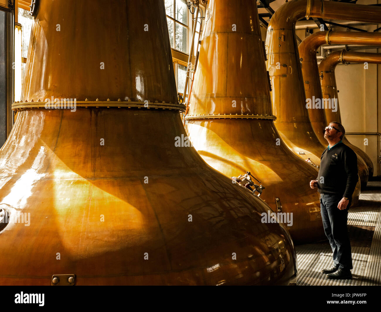 Singleton Single Malt Scotch Whisky von Glen Ord Distillery Stockfoto